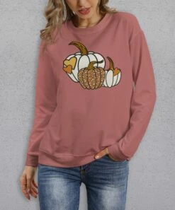 Best reviews of ⌛ PixieLady Mauve Pumpkins & Hearts Sweatshirt - 👩 Women ⭐